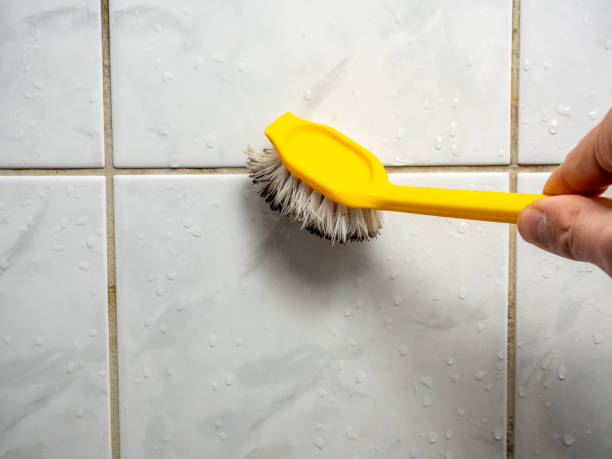 Best Same-Day Mold Removal  in Buckingham, FL