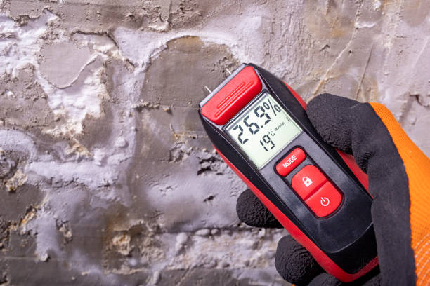 Best Mold Cleaning Services  in Buckingham, FL