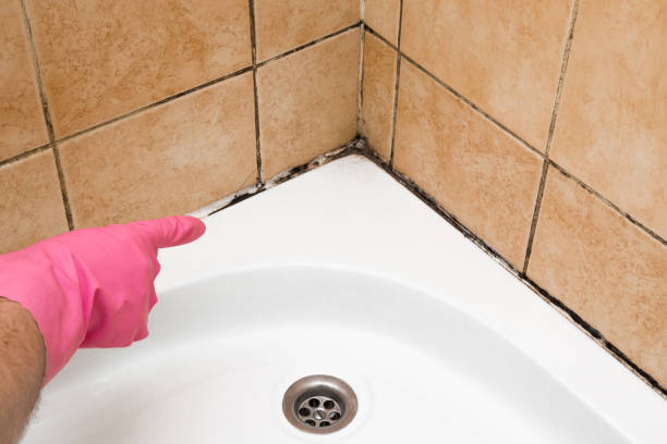 Best Residential Mold Removal  in Buckingham, FL